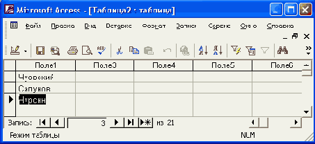 Создание таблицы путем ввода данных